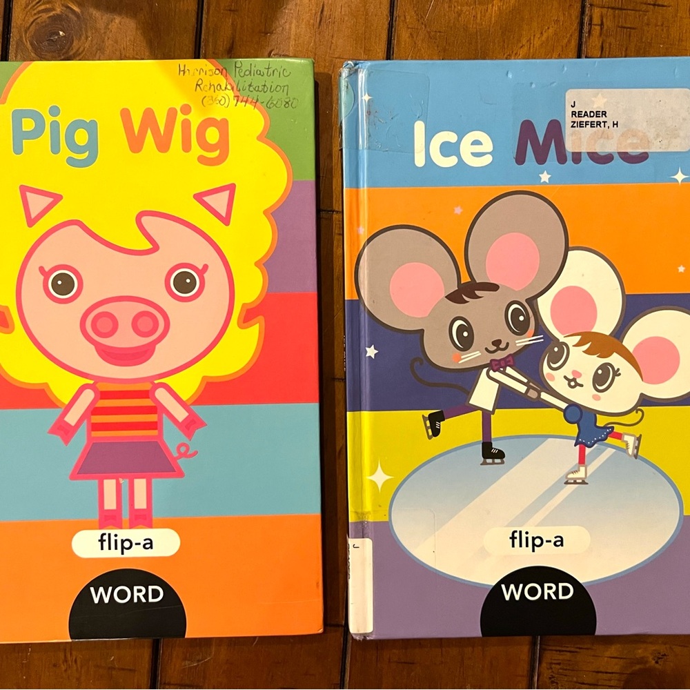 Pig Wig and Ice Mice Children's Books